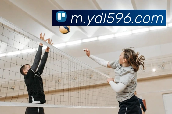 平台使命图